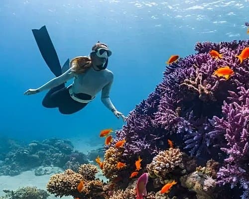 Chole Bay Snorkeling