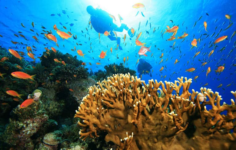 Marine Park Diving 2