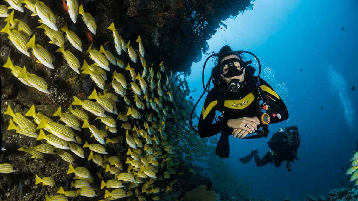 Marine Park Diving 3