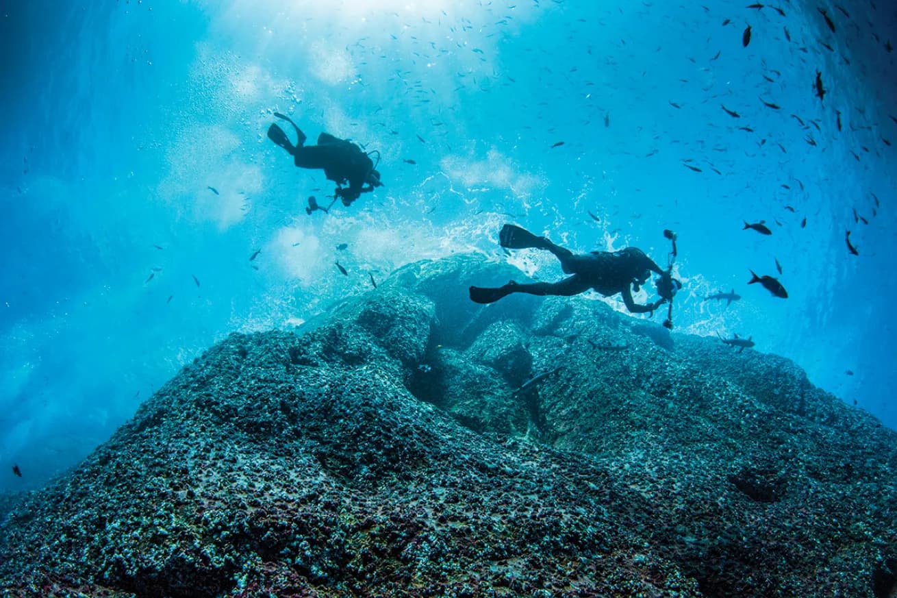 Marine Park Diving 4