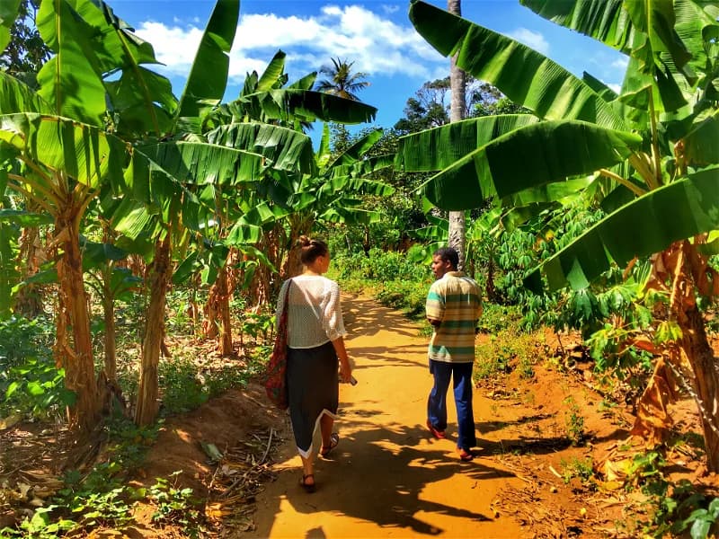 Chole Island Cultural & Heritage Tour