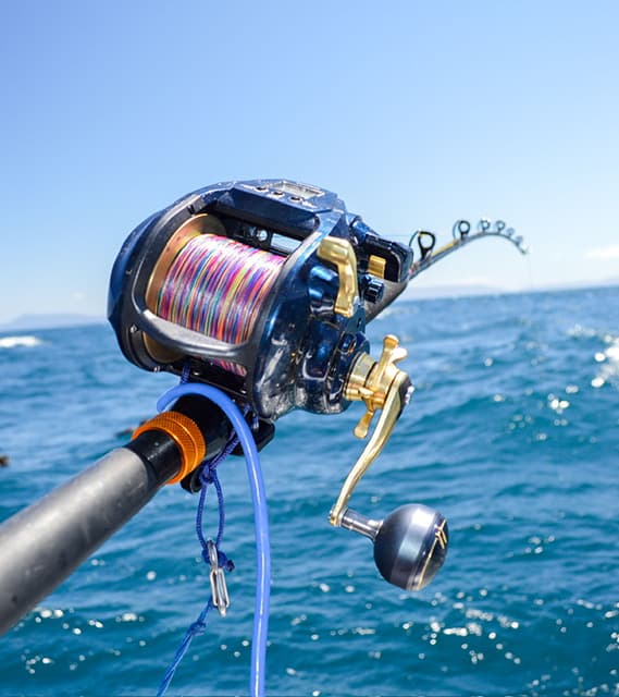 Local Fishing Experience