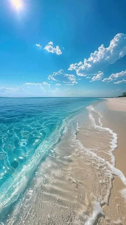 Kisimani Beach Experience