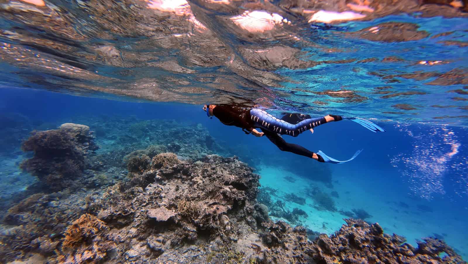 Chole Bay Snorkeling 4